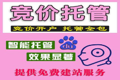 百度SEO推广技巧案例分析
